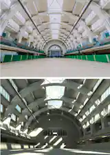 COMPARISON